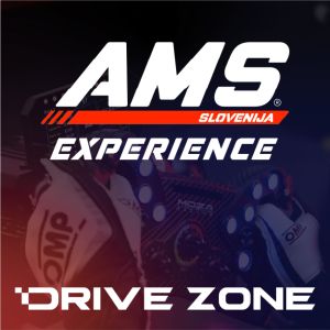 AMS - Drivezone | Experience